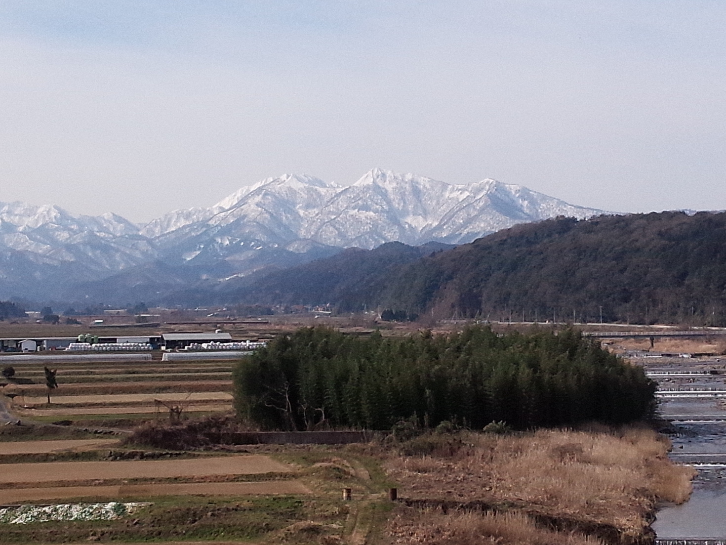 レビュアーのカバー画像