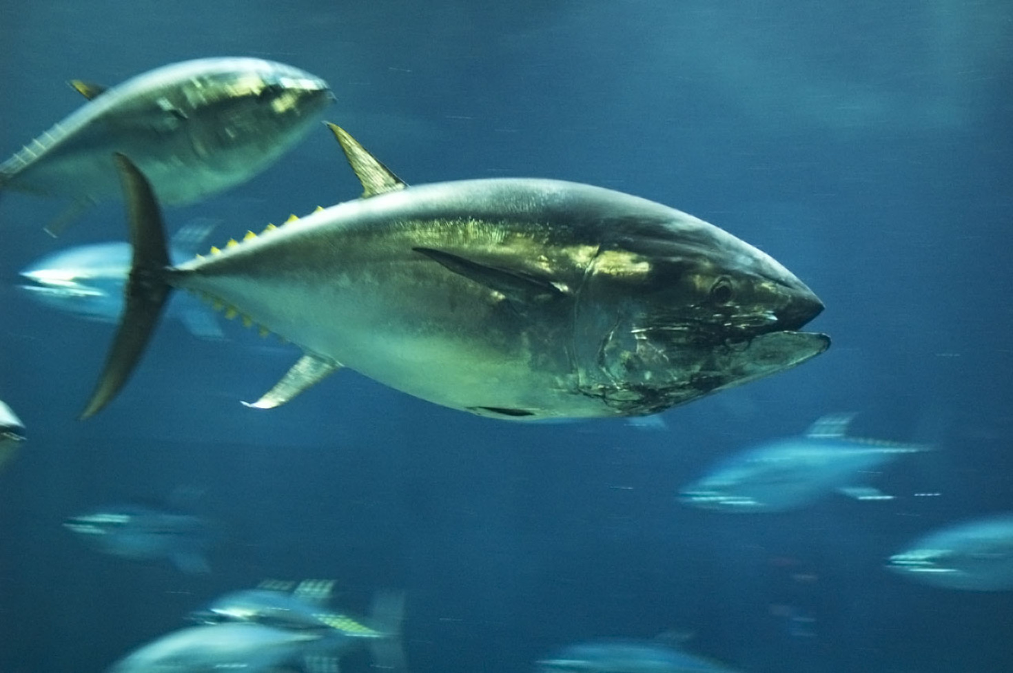 レビュアーのカバー画像