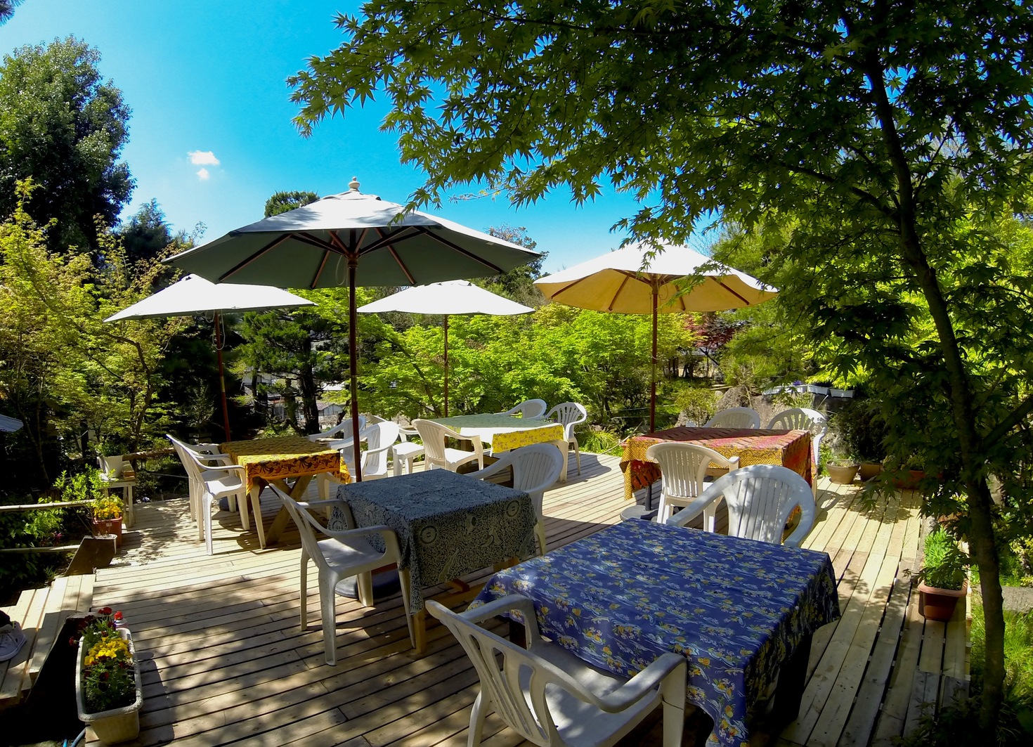 レビュアーのカバー画像