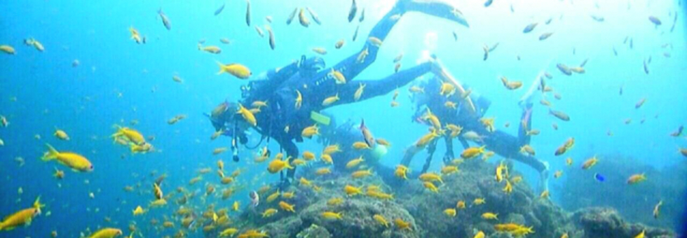 レビュアーのカバー画像