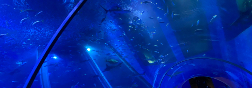 レビュアーのカバー画像