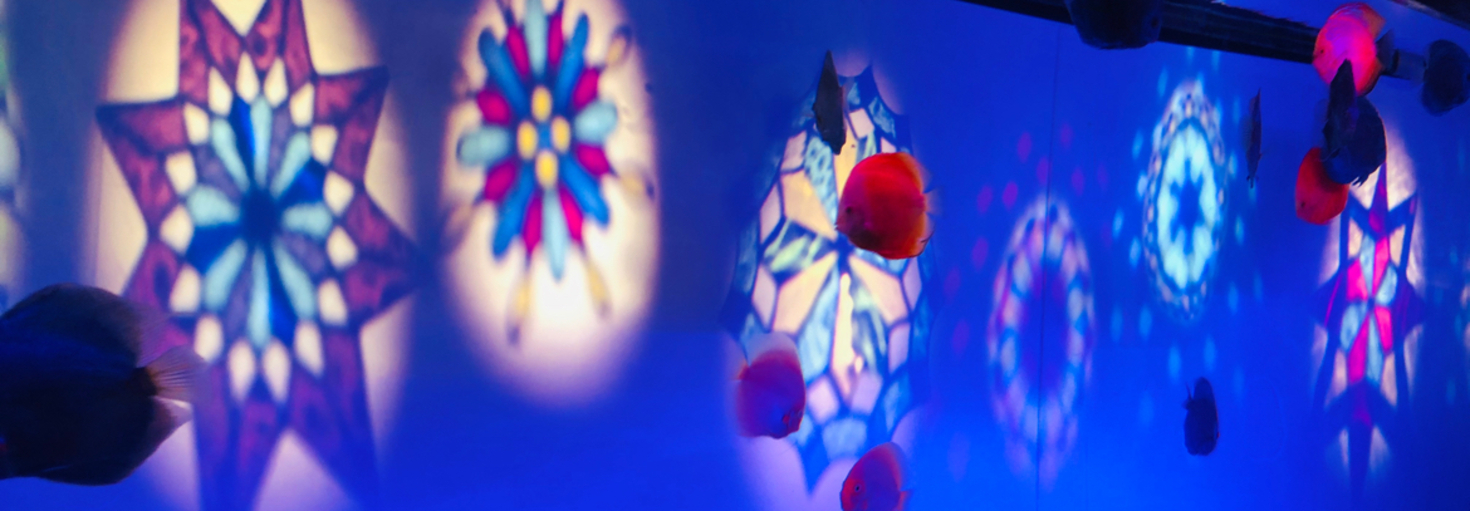 レビュアーのカバー画像