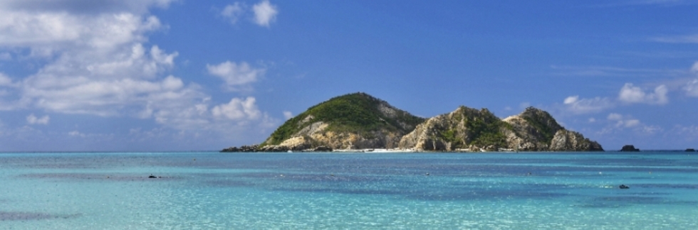 レビュアーのカバー画像