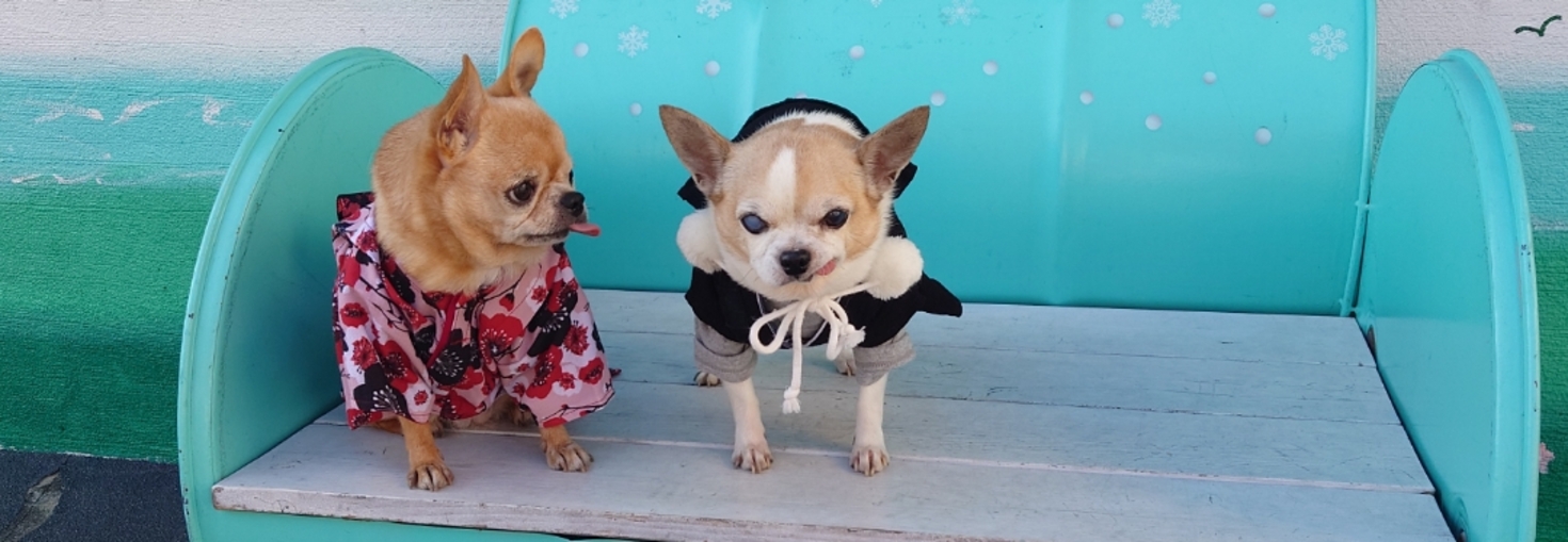 レビュアーのカバー画像