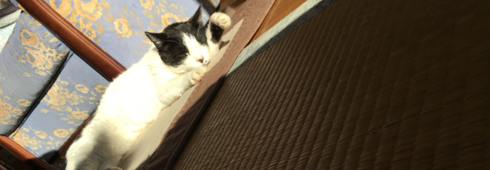 レビュアーのカバー画像