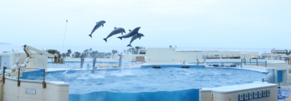 レビュアーのカバー画像