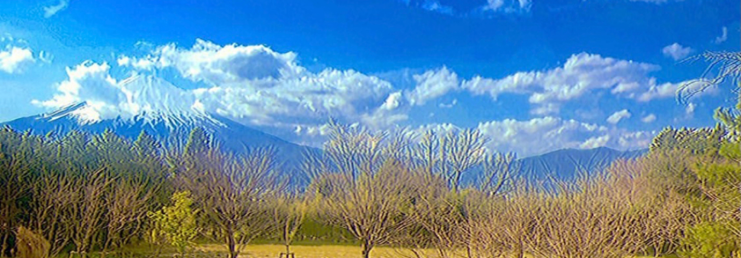 レビュアーのカバー画像