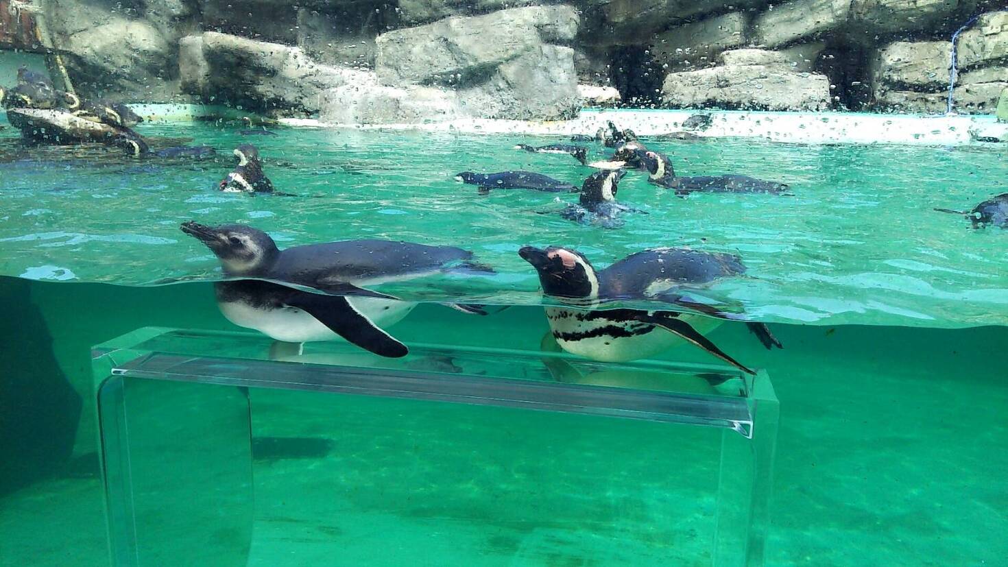 レビュアーのカバー画像