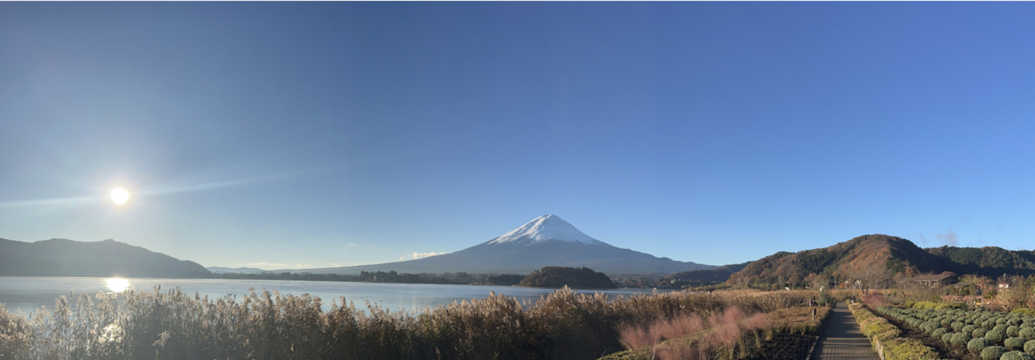 レビュアーのカバー画像