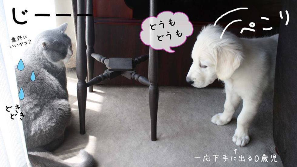 レビュアーのカバー画像