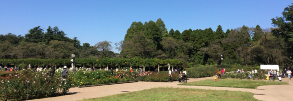 レビュアーのカバー画像