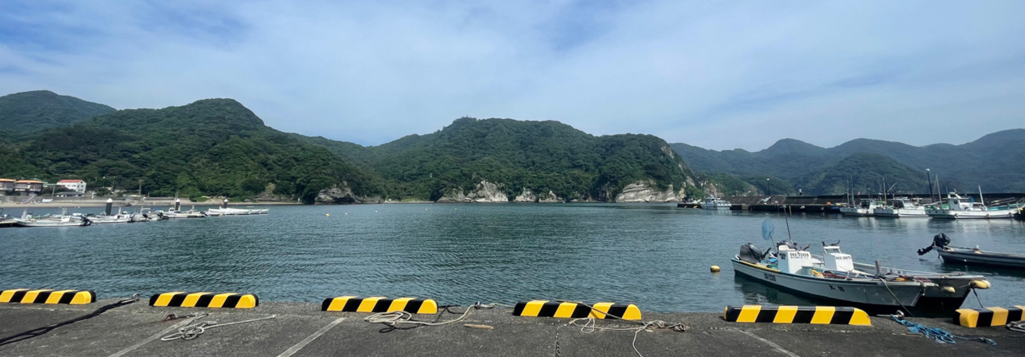 レビュアーのカバー画像