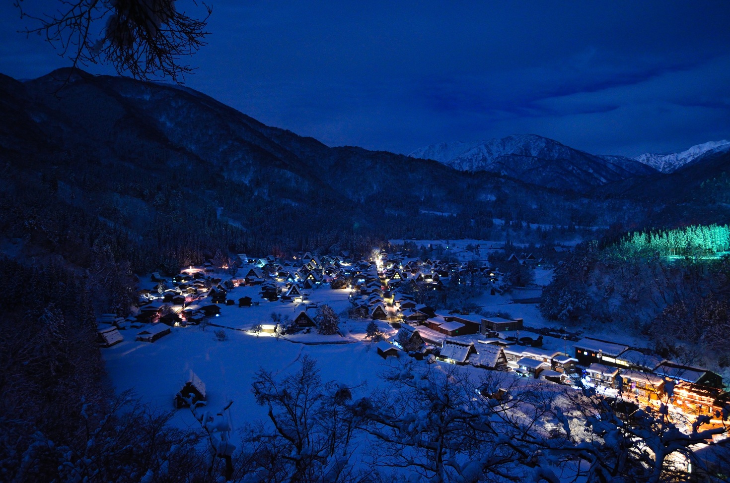 レビュアーのカバー画像