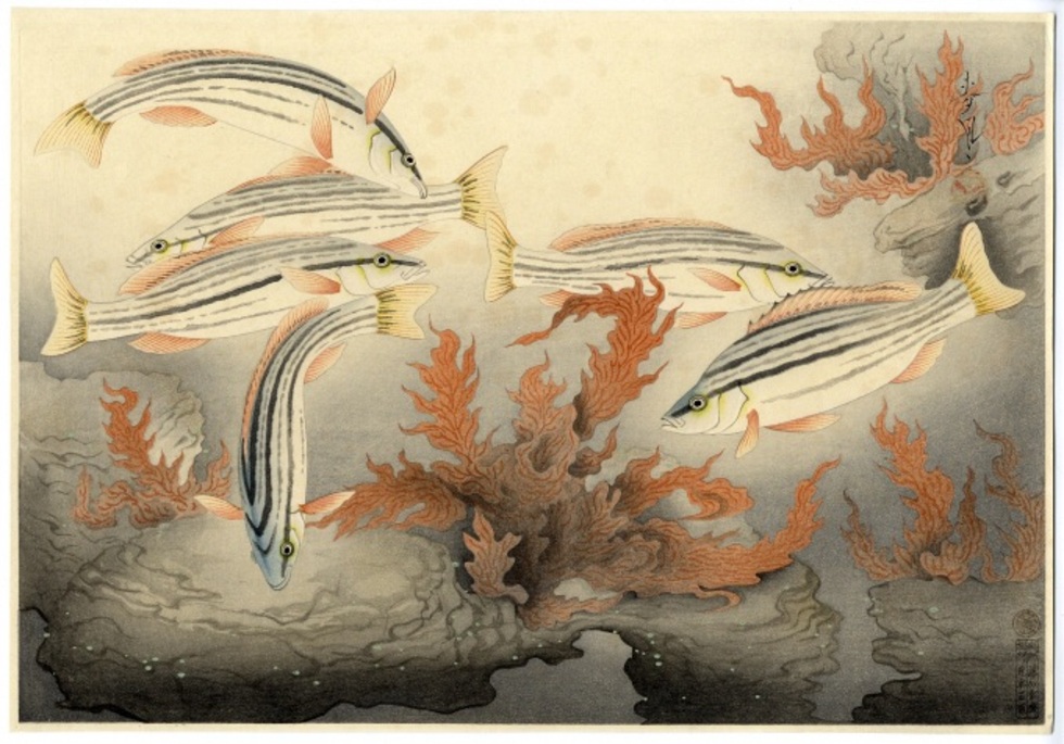 レビュアーのカバー画像