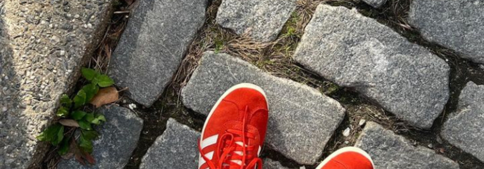 レビュアーのカバー画像