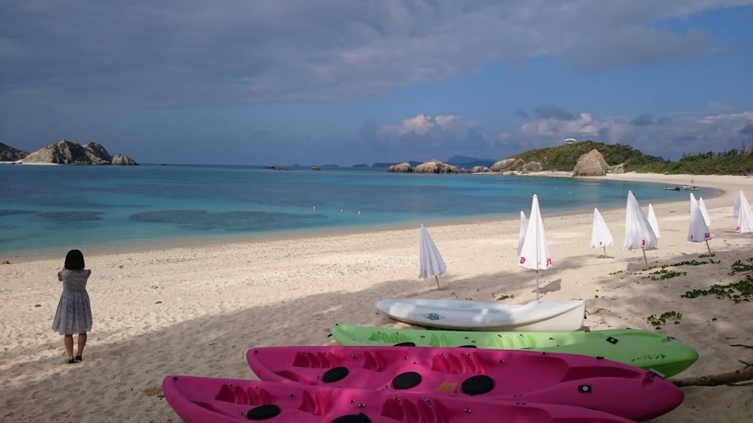 レビュアーのカバー画像