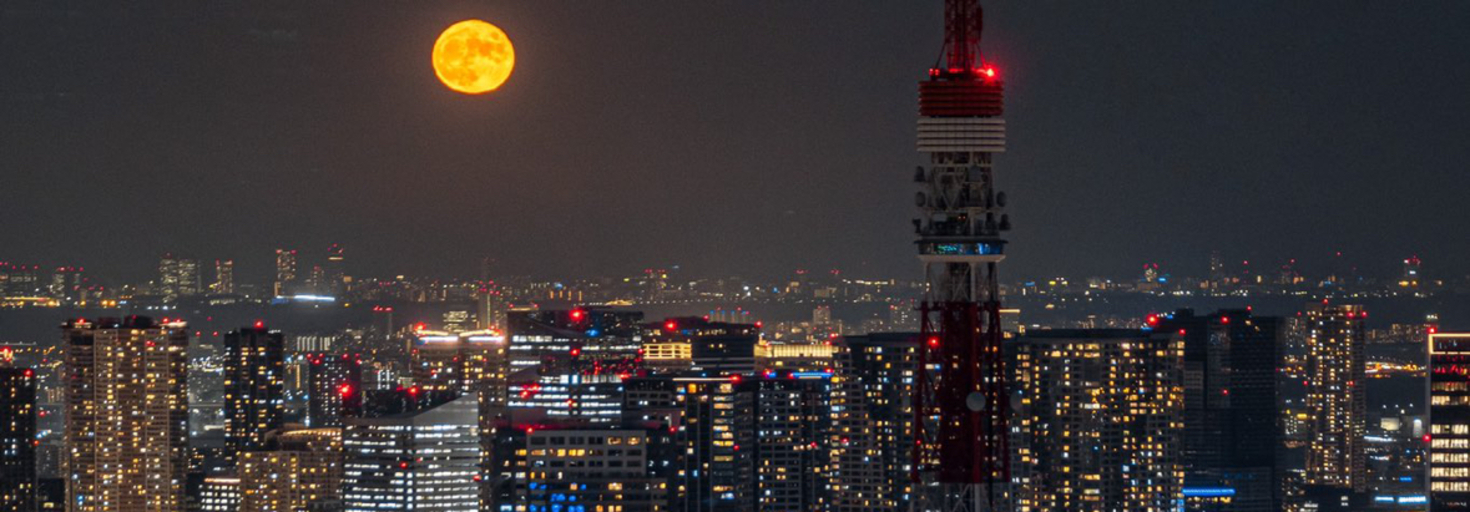 レビュアーのカバー画像