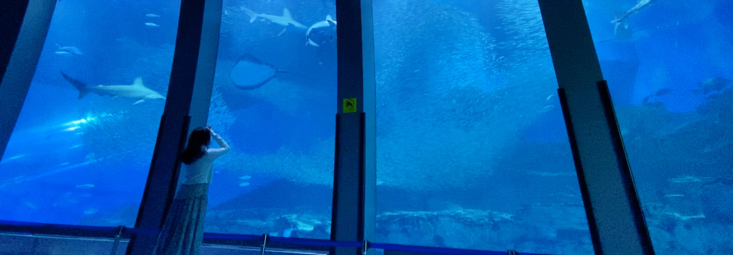 レビュアーのカバー画像