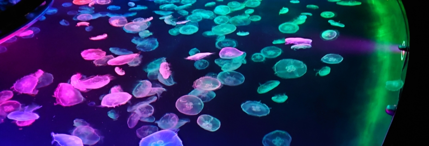 レビュアーのカバー画像