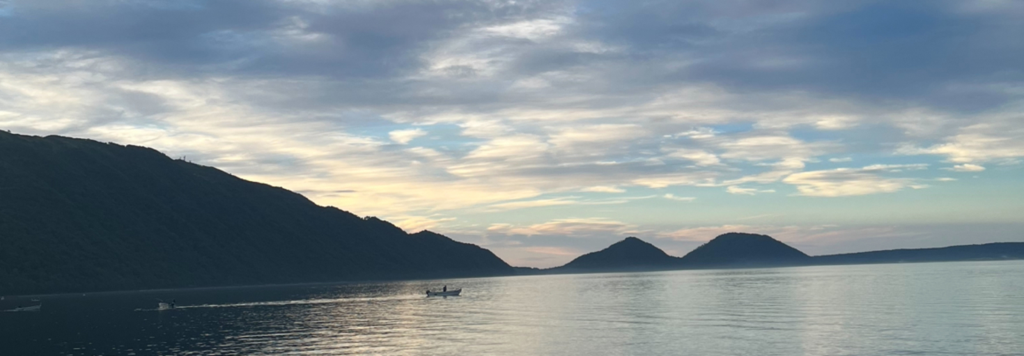 レビュアーのカバー画像