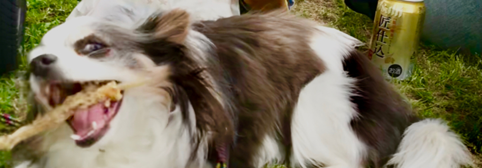 レビュアーのカバー画像