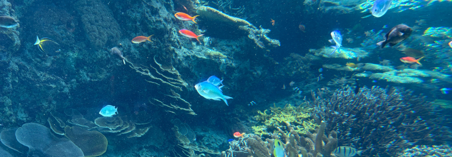 レビュアーのカバー画像