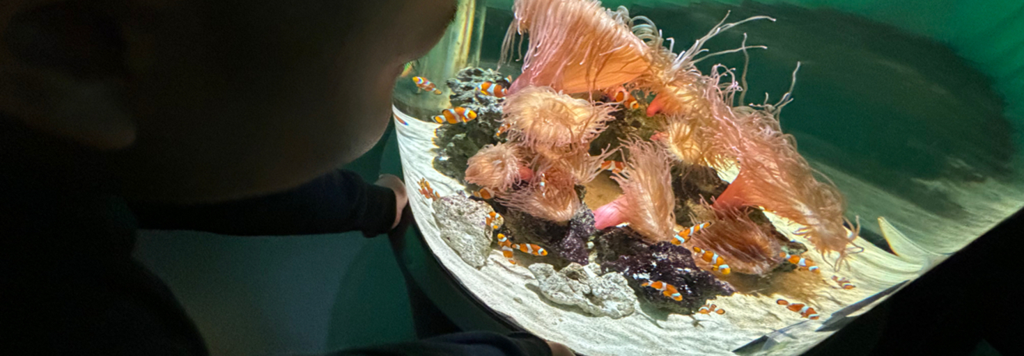 レビュアーのカバー画像