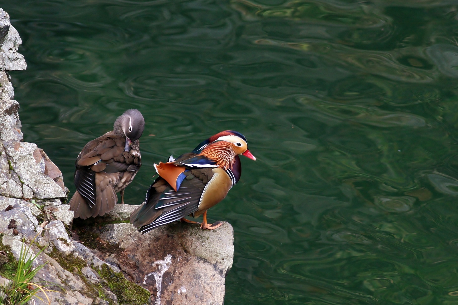 レビュアーのカバー画像