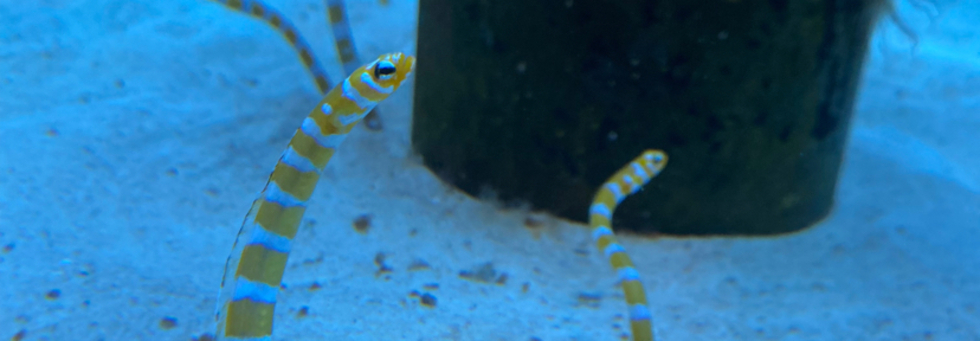 レビュアーのカバー画像