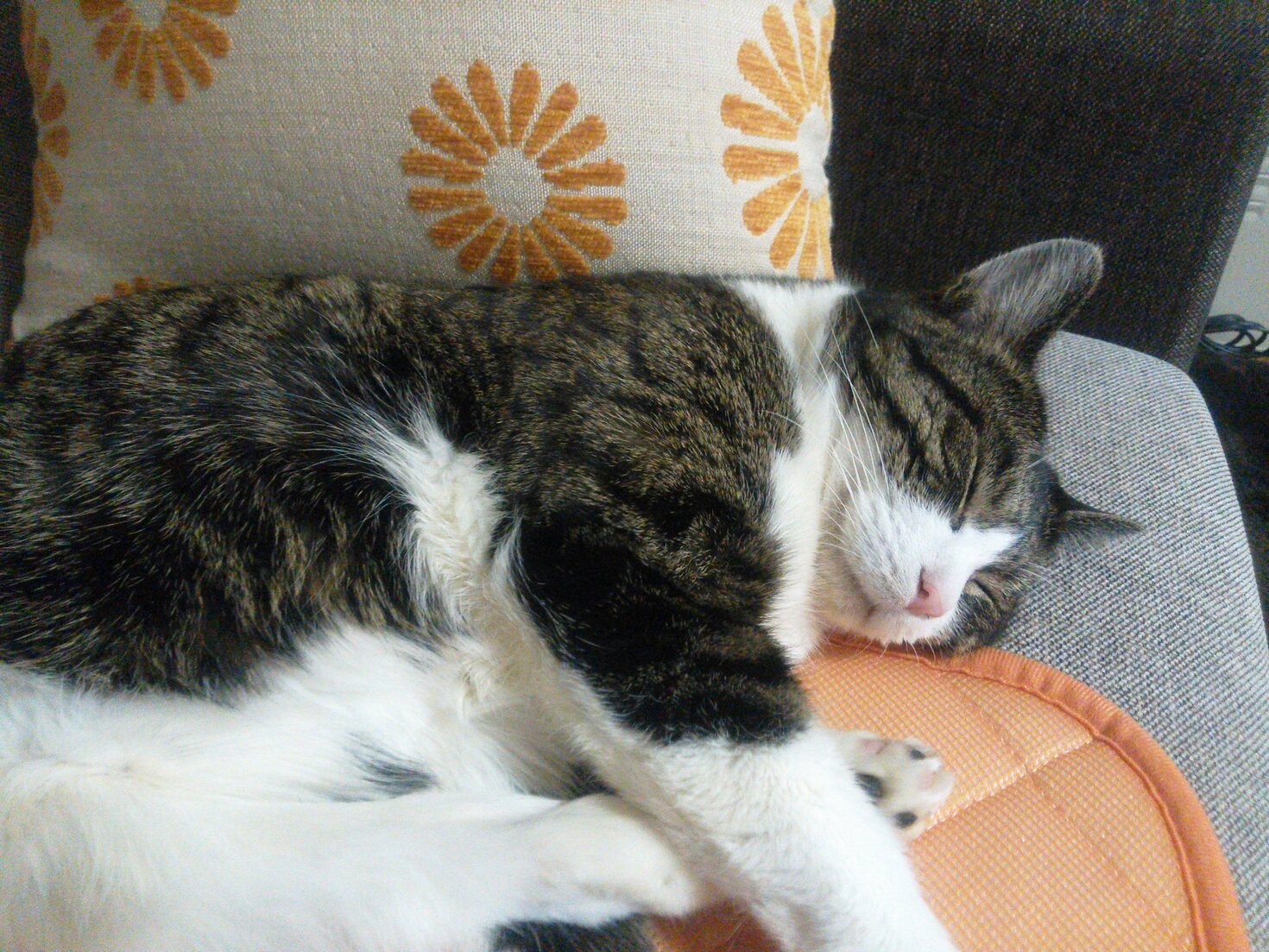 レビュアーのカバー画像