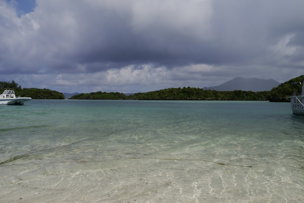 レビュアーのカバー画像