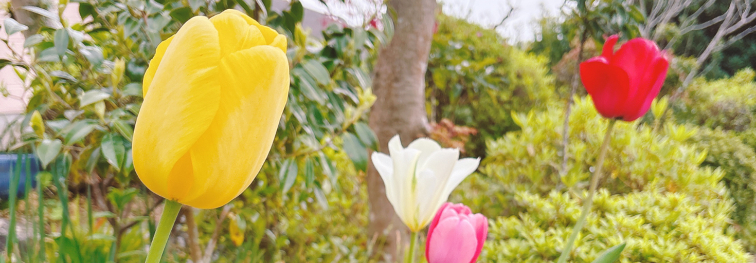 レビュアーのカバー画像