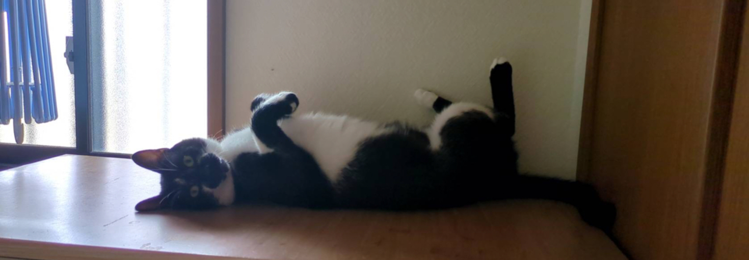 レビュアーのカバー画像