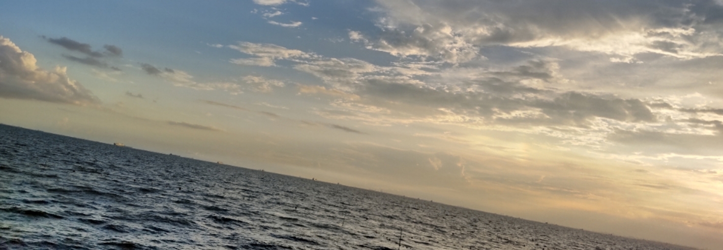 レビュアーのカバー画像