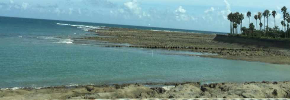 レビュアーのカバー画像