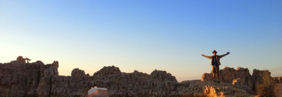 レビュアーのカバー画像