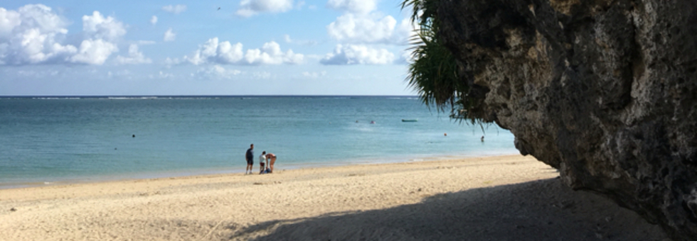 レビュアーのカバー画像