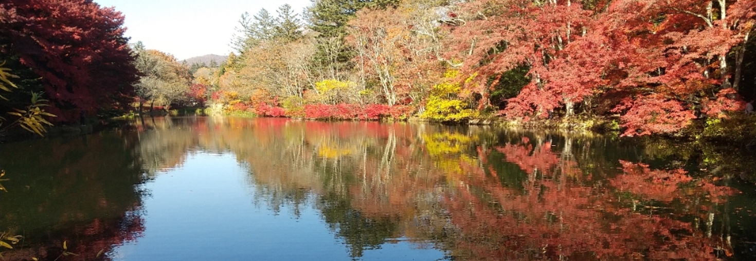 レビュアーのカバー画像