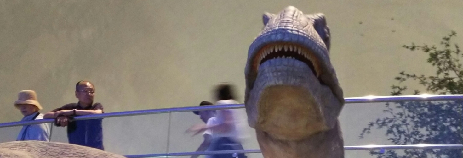 レビュアーのカバー画像