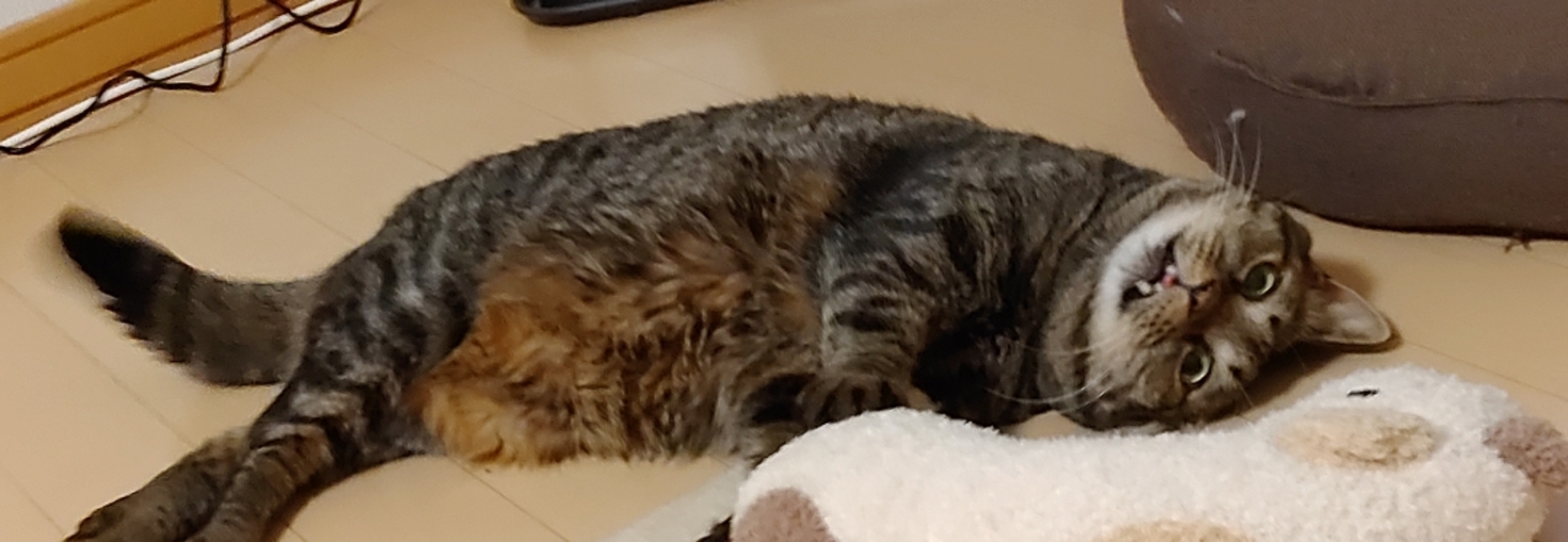 レビュアーのカバー画像