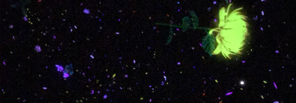 レビュアーのカバー画像