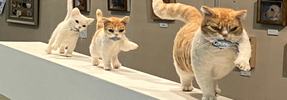 レビュアーのカバー画像