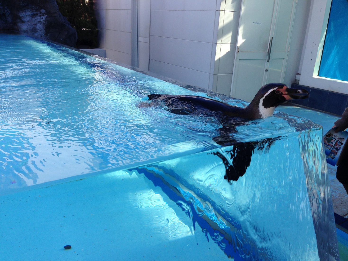 レビュアーのカバー画像