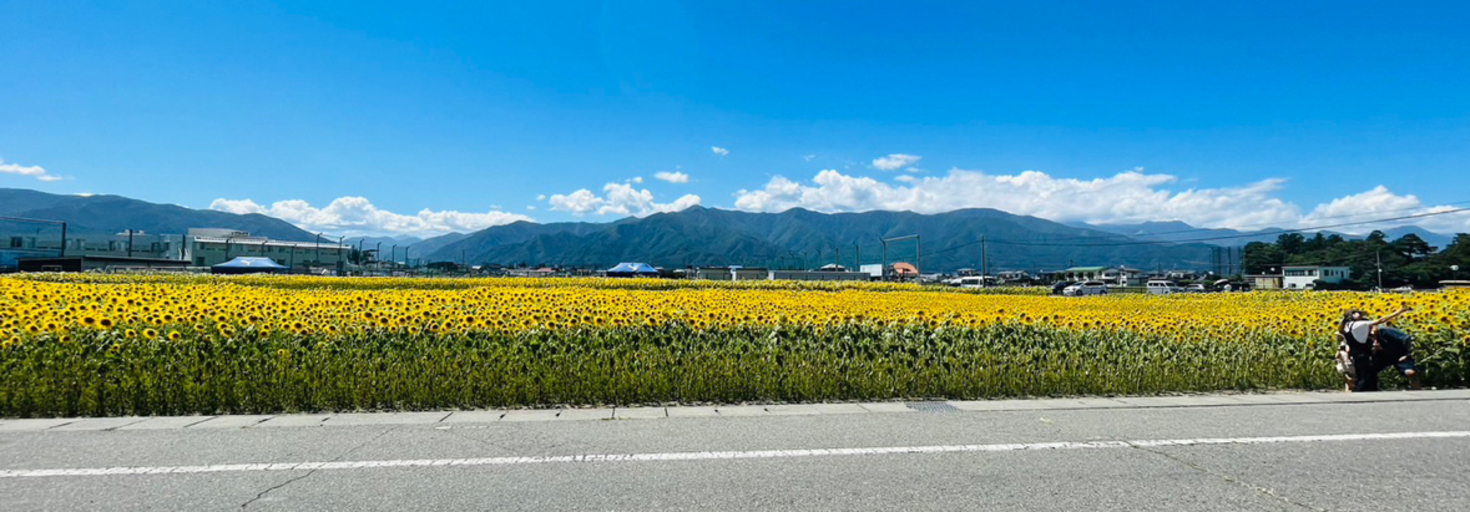 レビュアーのカバー画像