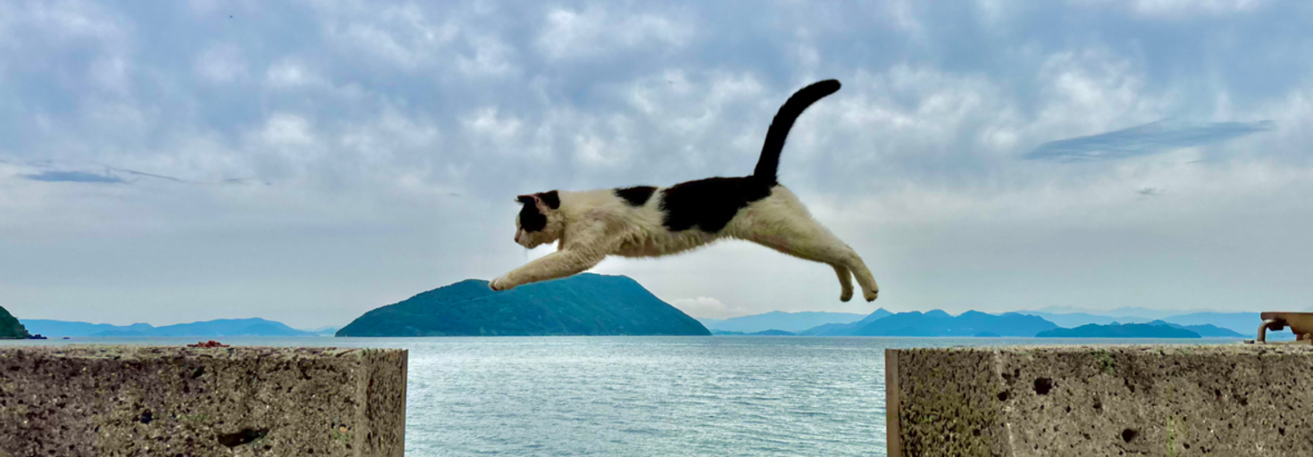 レビュアーのカバー画像