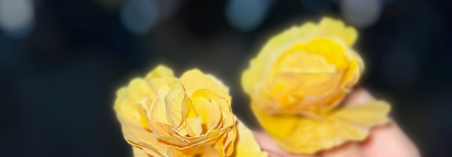 レビュアーのカバー画像