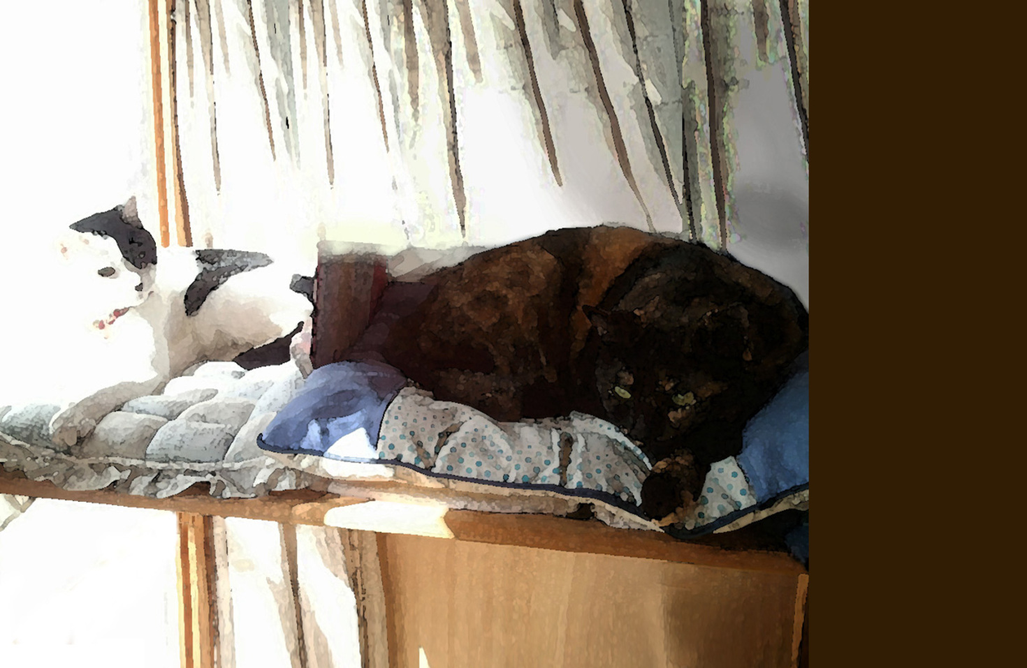 レビュアーのカバー画像