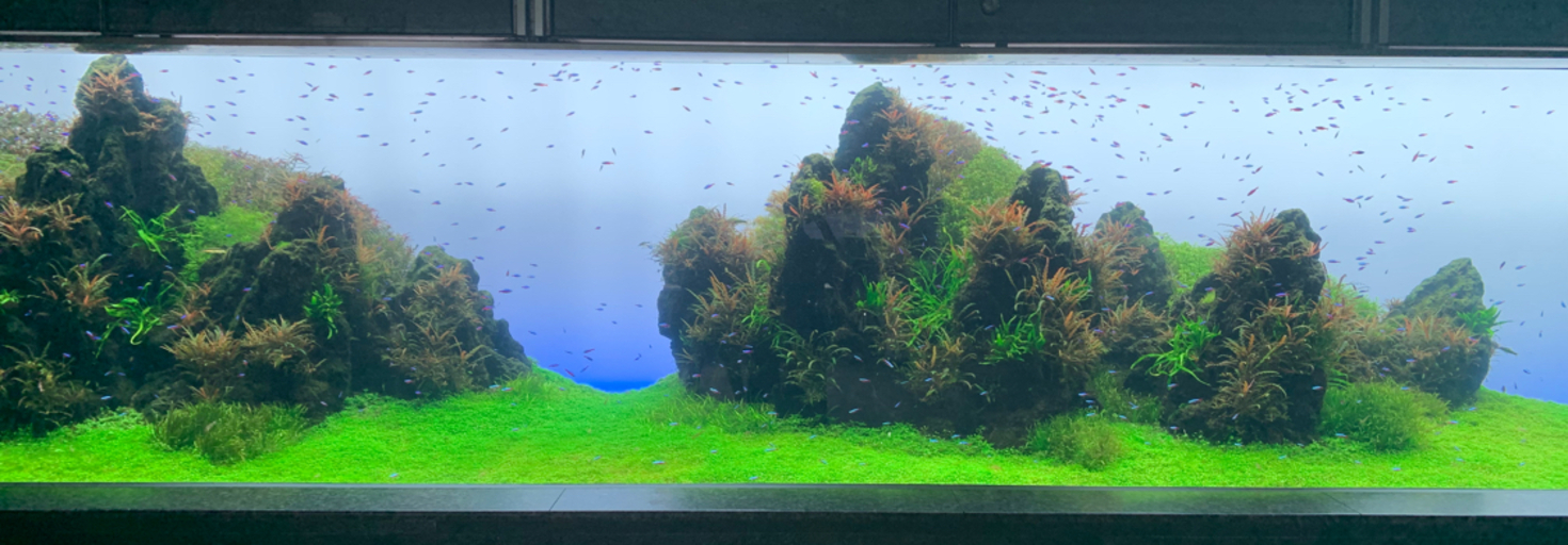 レビュアーのカバー画像