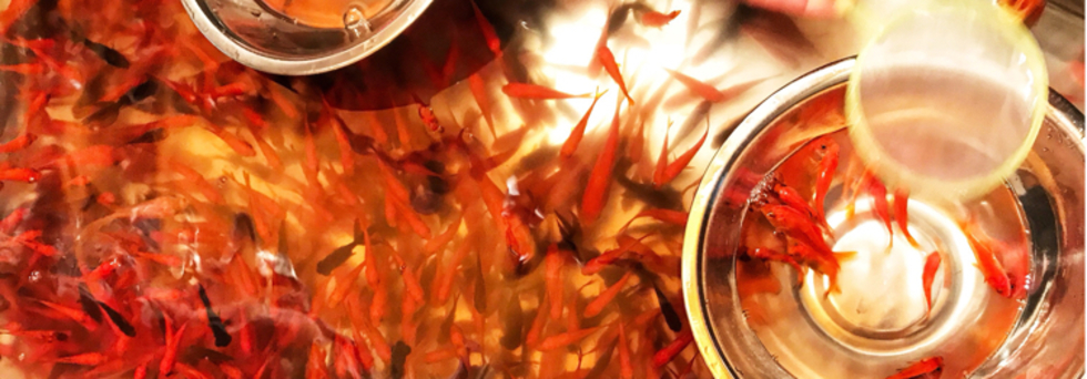 レビュアーのカバー画像