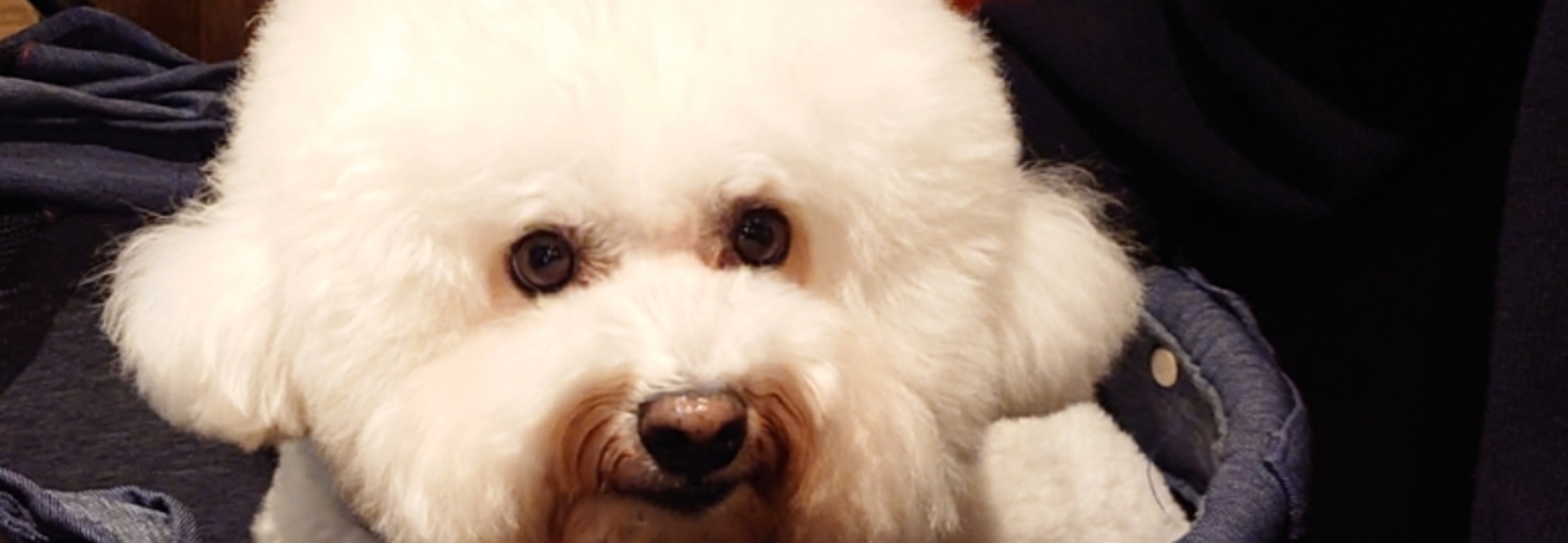 レビュアーのカバー画像